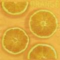 oranges0027-1.jpg (2522 octets)