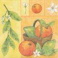 oranges0028-1.jpg (3026 octets)