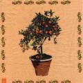 oranges0029-1.jpg (3634 octets)