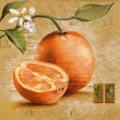 oranges0040-2.jpg (3445 octets)