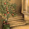 oranges0041-1.jpg (3975 octets)