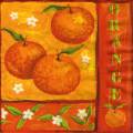 oranges0044-1.jpg (3766 octets)