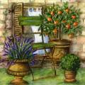 oranges0045-1.jpg (4683 octets)