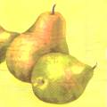 poires0005-2b.jpg (2312 octets)