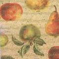 poires0006-1a.jpg (3343 octets)