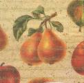 poires0006-1b.jpg (3558 octets)