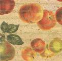 poires0006-1d.jpg (3535 octets)