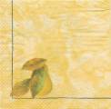 poires0010-1a.jpg (2353 octets)