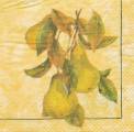 poires0010-1b.jpg (3094 octets)