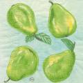 poires0020-5.jpg (3001 octets)