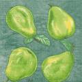 poires0020-7.jpg (3161 octets)