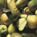 poires0022-1.jpg (3480 octets)