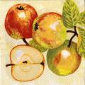 poires0026-1a.jpg (3964 octets)