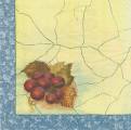 pommes0003-3a.jpg (3004 octets)