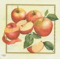 pommes0008-1.jpg (3456 octets)