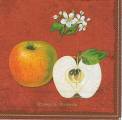 pommes0010-1b.jpg (2947 octets)