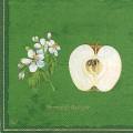 pommes0010-3a.jpg (2635 octets)