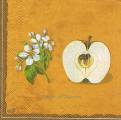 pommes0010-4a.jpg (2888 octets)