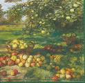 pommes0015b.jpg (4467 octets)