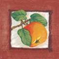 pommes0016-2.jpg (2921 octets)