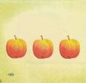 pommes0024-1a.jpg (1955 octets)