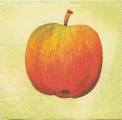 pommes0024-1b.jpg (2268 octets)