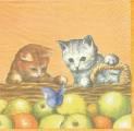 pommes0032-1.jpg (3034 octets)