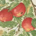 pommes0040-1b.jpg (4227 octets)