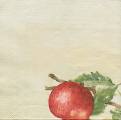 pommes0040-1c.jpg (1987 octets)