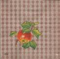 pommes0042-1c.jpg (3354 octets)