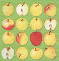pommes0043-1a.jpg (3337 octets)