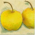 pommes0047-1b.jpg (2735 octets)
