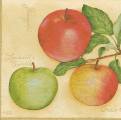 pommes0049-1a.jpg (2918 octets)