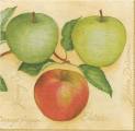 pommes0049-1b.jpg (2893 octets)