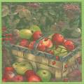 pommes0059-1.jpg (3551 octets)