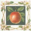 pommes0063-1.jpg (3766 octets)