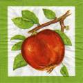 pommes0070-1.jpg (3647 octets)