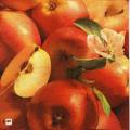 pommes0072-1.jpg (3440 octets)