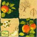 pommes0074-1.jpg (4671 octets)
