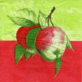 pommes0083-1b.jpg (2929 octets)