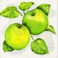 pommes0090-1.jpg (3711 octets)