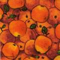 pommes0091-1.jpg (4082 octets)