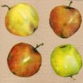 pommes0092-1.jpg (2893 octets)