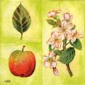 pommes0094-1.jpg (3712 octets)