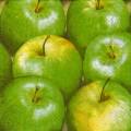 pommes0095-2.jpg (3080 octets)