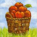 pommes0101-1.jpg (4064 octets)