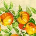 pommes0105-2.jpg (4246 octets)