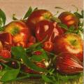 pommes0106-1.jpg (3884 octets)