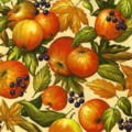 pommes0110-1.jpg (9100 octets)