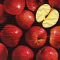 pommes0116-1.jpg (3435 octets)